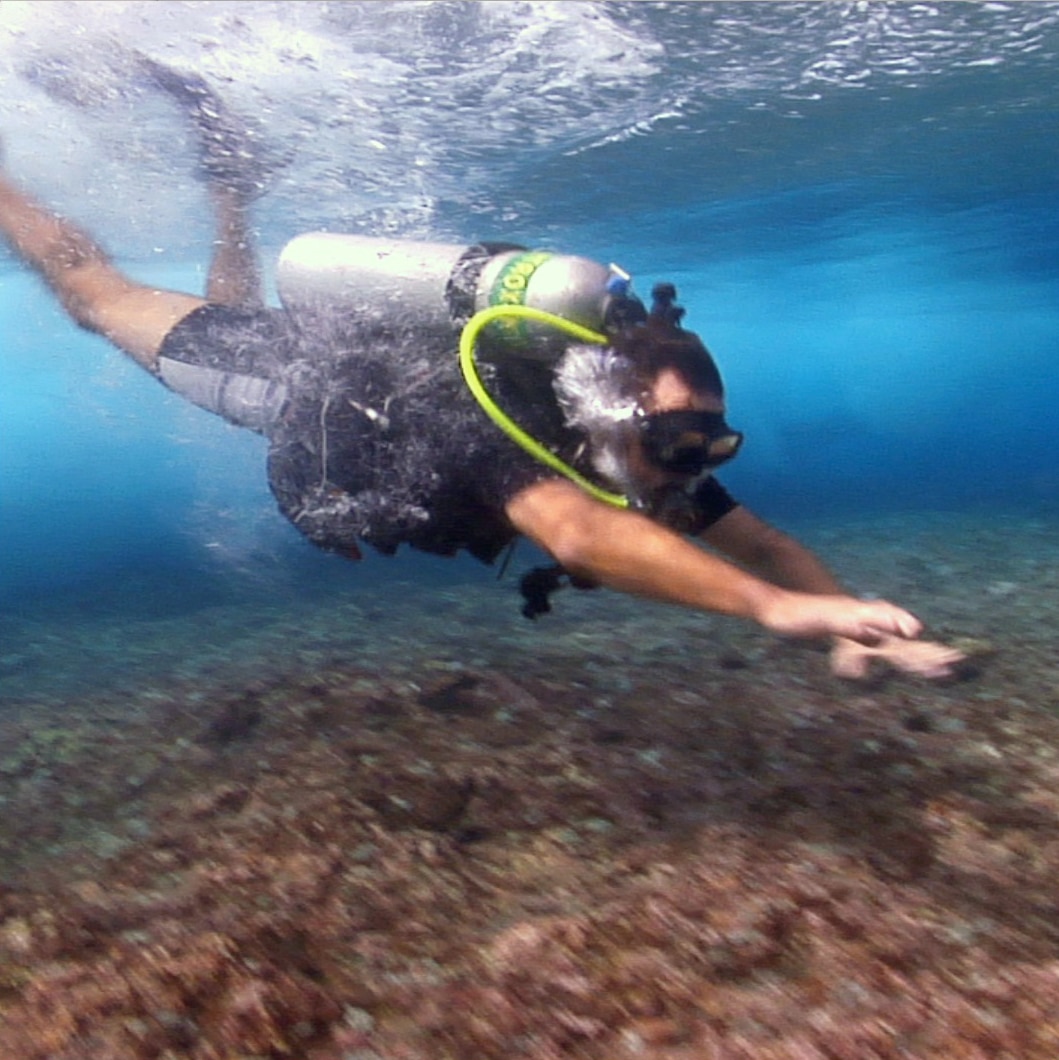 Scuba diving under rolling waves (video)