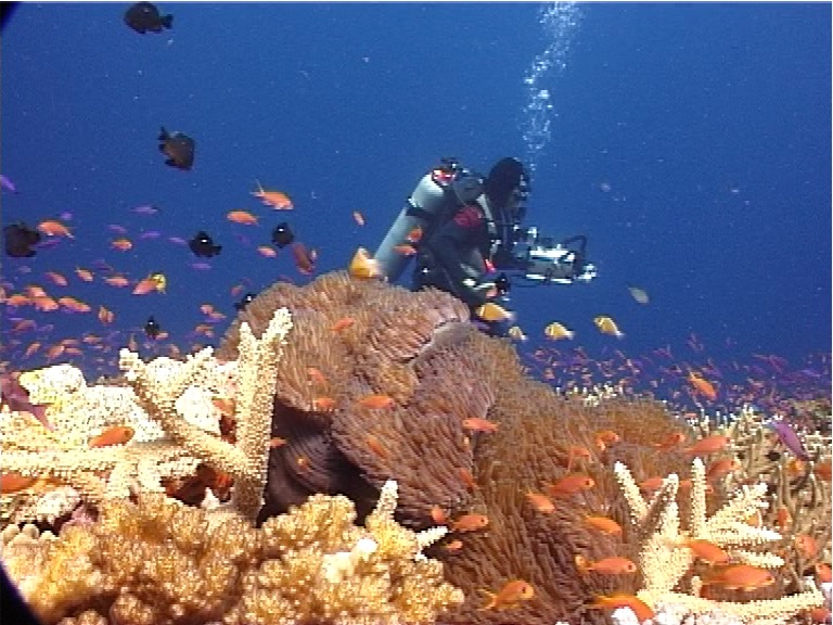 Ocean scenery Stan Waterman, on shallow coral reef, UP10110
