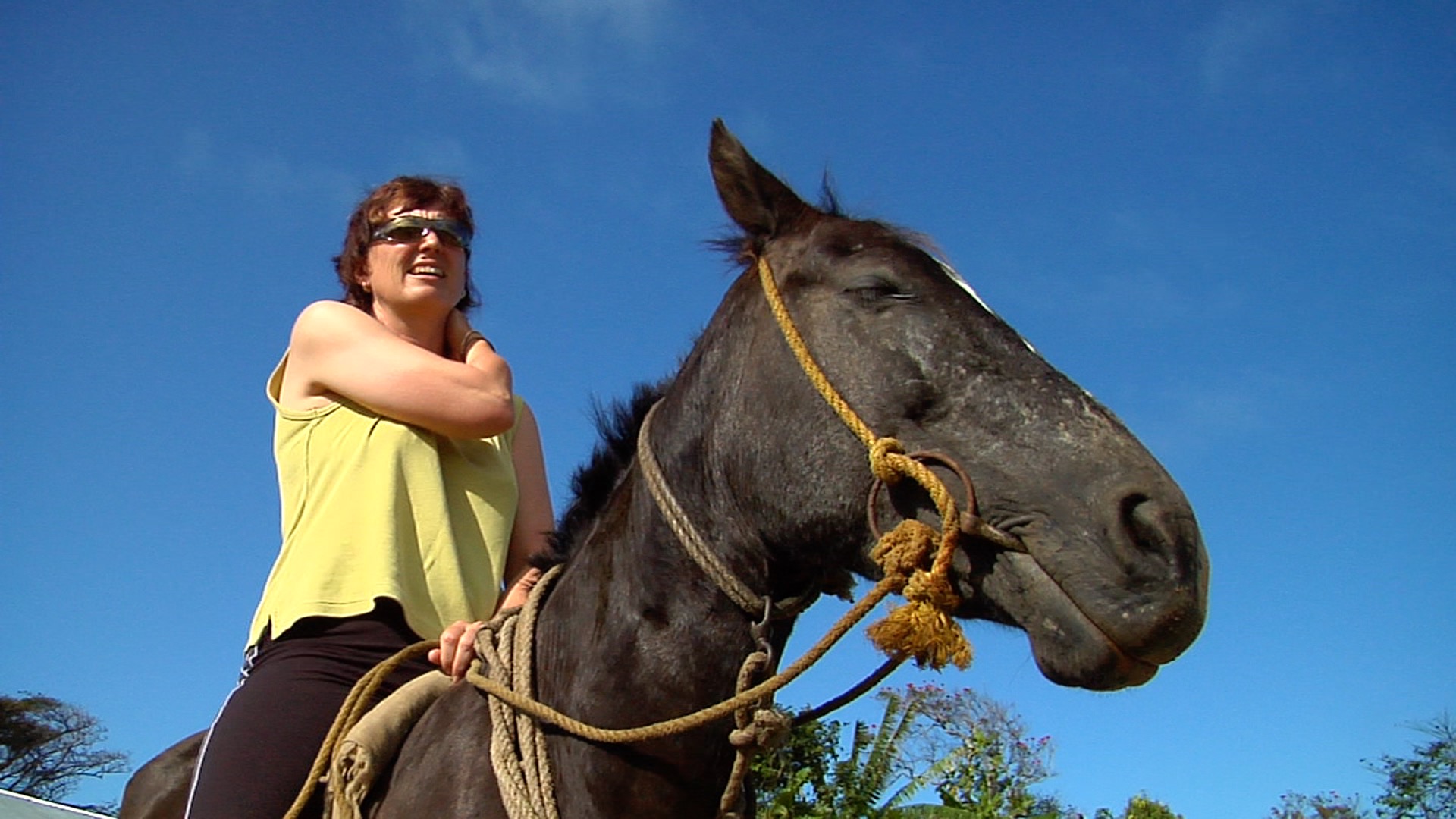 Tourist on a horse, people or person in shot, HD, UP15756