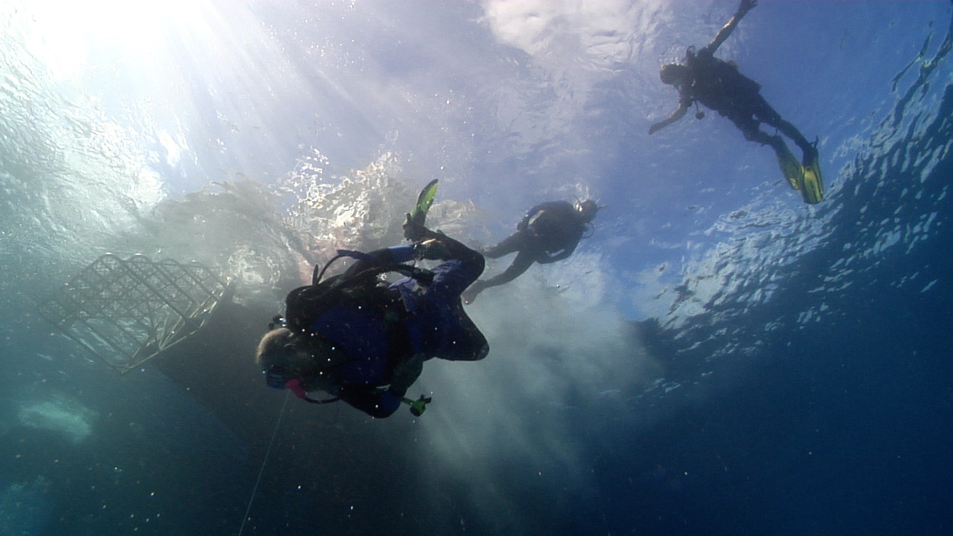 Group of scuba divers descending on water surface, HD, UP20115